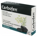 Carbofen gaz intestinaux/digestion 30 gelules