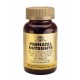 Prenatal Nutrients - Solgar