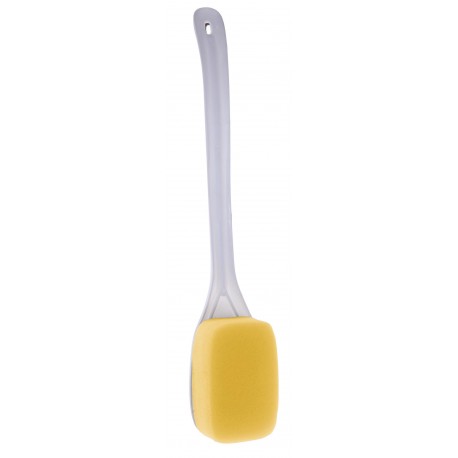 Brosse eponge lave dos