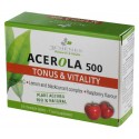 Acerola 500 tonus et vitalite 24 cps 78g