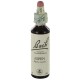 Fleurs de bach : tremble 20ml