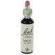 Fleurs de bach : hetre 20ml