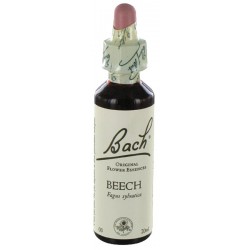 Fleurs de bach : hetre 20ml