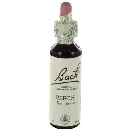 Fleurs de bach : hetre 20ml