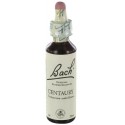 Fleurs de bach : centauree 20ml