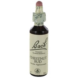 Fleurs de bach : bourgeon de marronnier 20ml