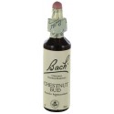 Fleurs de bach : bourgeon de marronnier 20ml