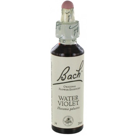 Fleurs de bach : violette d'eau 20ml