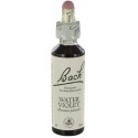 Fleurs de bach : violette d'eau 20ml