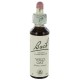 Fleurs de bach : folle avoine 20ml