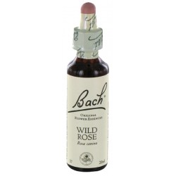 Fleurs de bach : eglantier 20ml