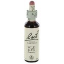 Fleurs de bach : eglantier 20ml