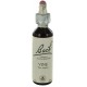 Fleurs de bach : vigne 20ml