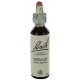 Fleurs de bach : verveine 20ml