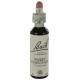 Fleurs de bach : chataignier 20ml