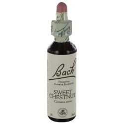 Fleurs de bach : chataignier 20ml