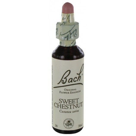 Fleurs de bach : chataignier 20ml