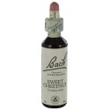 Fleurs de bach : chataignier 20ml