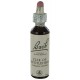 Fleurs de bach : etoile de bethleem 20ml