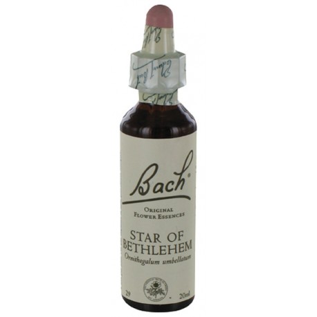 Fleurs de bach : etoile de bethleem 20ml