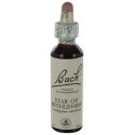 Fleurs de bach : etoile de bethleem 20ml