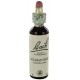Fleurs de bach : alene 20ml