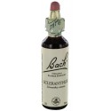 Fleurs de bach : alene 20ml