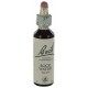 Fleurs de bach : eau de roche 20ml