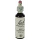 Fleurs de bach : marronnier rouge 20ml