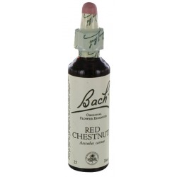 Fleurs de bach : marronnier rouge 20ml