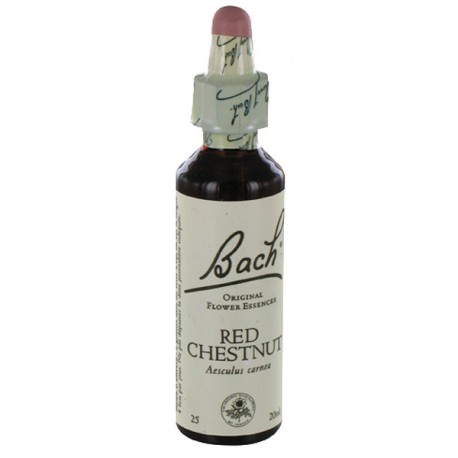 Fleurs de bach : marronnier rouge 20ml