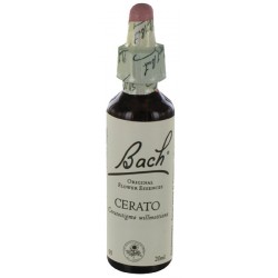Fleurs de bach : plumbago 20ml