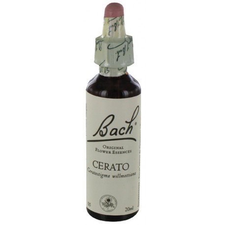 Fleurs de bach : plumbago 20ml