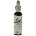 Fleurs de bach : plumbago 20ml