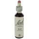 Fleurs de bach : orme 20ml