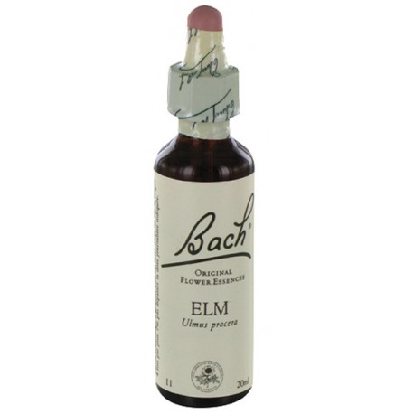 Fleurs de bach : orme 20ml