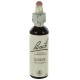 Fleurs de bach : ajonc 20ml