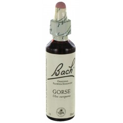 Fleurs de bach : ajonc 20ml