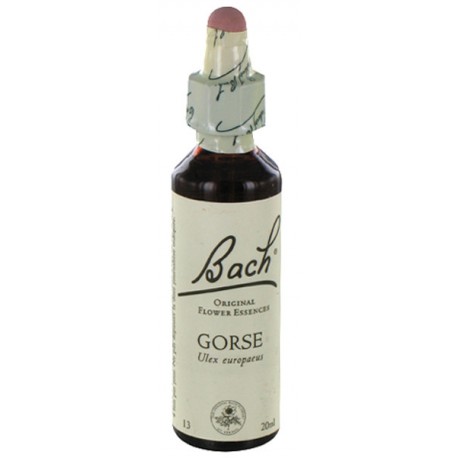 Fleurs de bach : ajonc 20ml