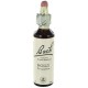 Fleurs de bach : houx 20ml