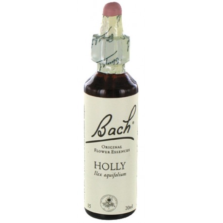 Fleurs de bach : houx 20ml