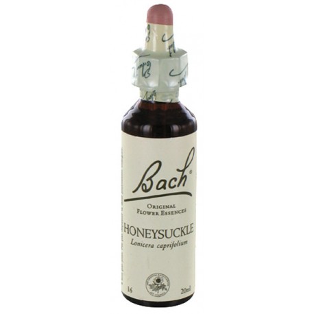 Fleurs de bach : chevrefeuille 20ml