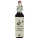 Fleurs de bach : chevrefeuille 20ml