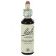 Fleurs de bach : charme 20ml