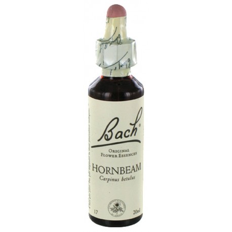Fleurs de bach : charme 20ml