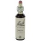 Fleurs de bach : meleze 20ml