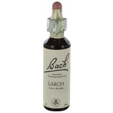 Fleurs de bach : meleze 20ml