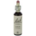 Fleurs de bach : meleze 20ml