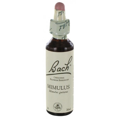 Fleurs de bach : mimule 20ml
