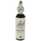 Fleurs de bach : moutarde 20ml
